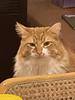 loafwithsoph's profile picture