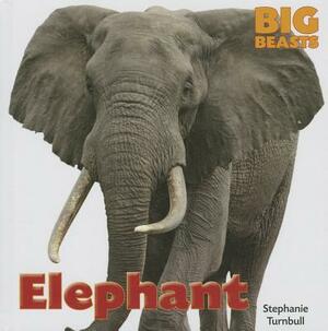 Elephant by Stephanie Turnbull