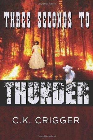 Three Seconds to Thunder by C. K. Crigger