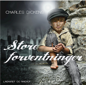 Store forventninger  by Charles Dickens