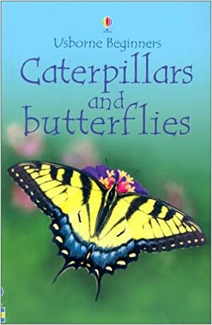 Caterpillars and Butterflies by Emma Helbrough