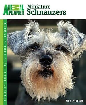 Miniature Schnauzers by Nikki Moustaki