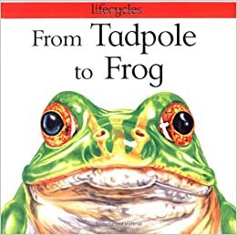 From Tadpole to Frog by Gerald Legg