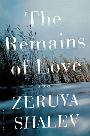 The Remains of Love by Zeruya Shalev