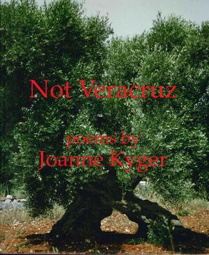 Not Veracruz by Joanne Kyger