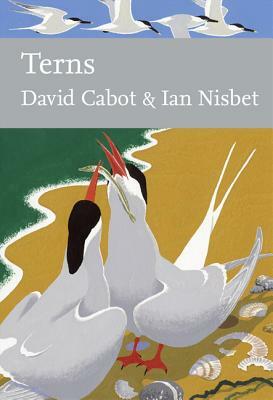 Terns (Collins New Naturalist Library, Book 123) by David Cabot, Ian Nisbet