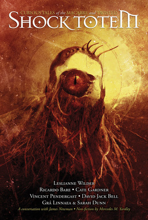Shock Totem 2: Curious Tales of the Macabre and Twisted by Kurt Newton, Ricardo Bare, Sarah Dunn, Leslianne Wilder, Grá Linnaea, Nick Bronson, Vincent Pendergast, David Bell, Cate Gardner, John Boden, Mercedes M. Yardley, K. Allen Wood, Christian A. Dumais