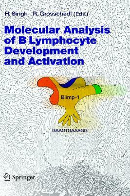 Molecular Analysis of B Lymphocyte Development and Activation by 