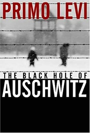 The Black Hole of Auschwitz by Marco Belpoliti, Sharon Wood, Primo Levi
