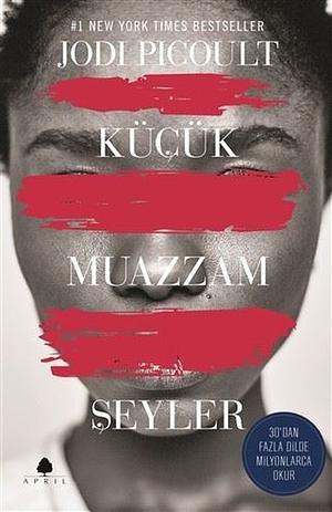 Küçük Muazzam Şeyler by Jodi Picoult