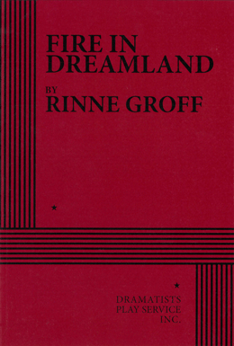 Fire in Dreamland by Rinne Groff