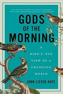 Gods of the Morning: A Bird's-Eye View of a Changing World by John Lister-Kaye