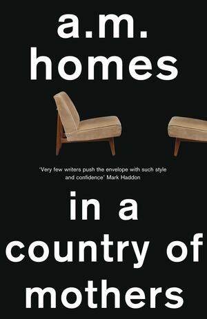 In a Country of Mothers by A.M. Homes