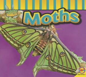 Moths by Aaron Carr