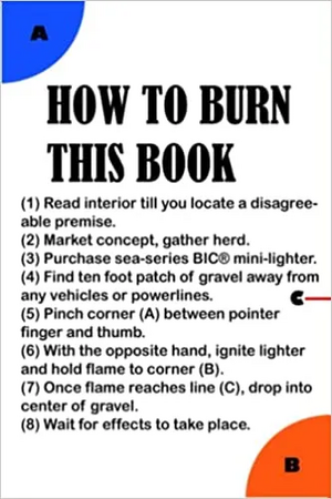 How to Burn This Book by Evan Witmer