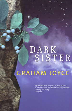 Dark Sister by Graham Joyce