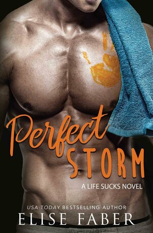 Perfect Storm by Elise Faber