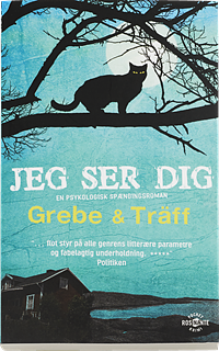 Jeg ser dig by Åsa Träff, Camilla Grebe