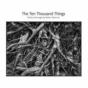 The Ten Thousand Things by Robert Saltzman