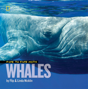 Face to Face with Whales by Linda Nicklin, Flip Nicklin