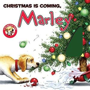Christmas Is Coming, Marley by John Grogan