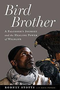 Bird Brother: A Falconer's Journey and the Healing Power of Wildlife by Rodney Stotts