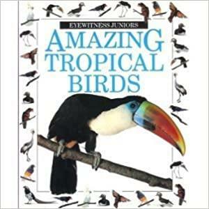 Amazing Tropical Birds by Gerald Legg