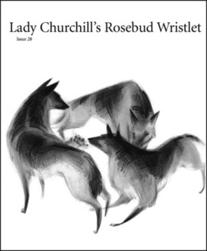 Lady Churchill's Rosebud Wristlet No. 28 by Gavin J. Grant, Kelly Link