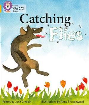 Catching Flies by June Crebbin