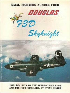 Douglas F3d/F-10 Skynight by Steve Ginter