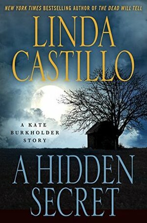 A Hidden Secret by Linda Castillo