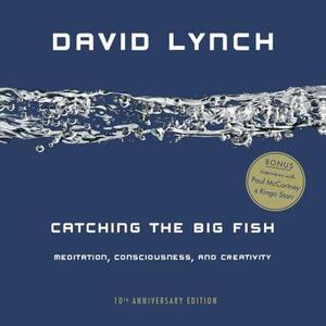 Catching the Big Fish: Meditation, Consciousness, and Creativity by David Lynch