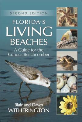 Florida's Living Beaches: A Guide for the Curious Beachcomber by Blair Witherington