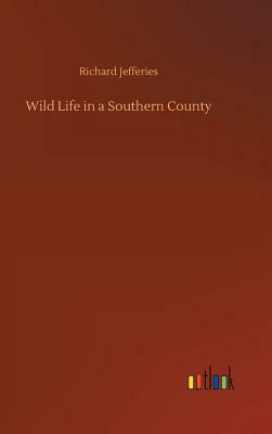 Wild Life in a Southern County by Richard Jefferies