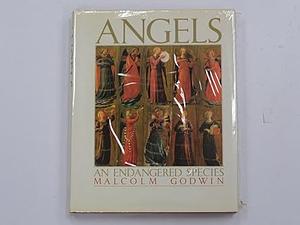 Angels : An Endangered Species by Malcolm Godwin, Malcolm Godwin