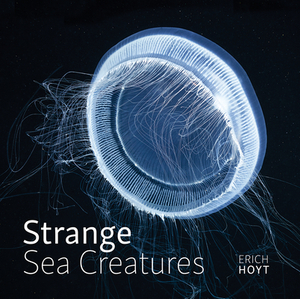 Strange Sea Creatures by Erich Hoyt