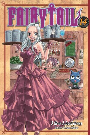 Fairy Tail 14 by Hiro Mashima