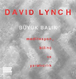 Büyük Balık: Meditasyon, Bilinç ve Yaratıcılık by David Lynch