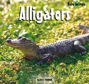 Alligators by Alice Twine