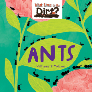 Ants by Susie Williams