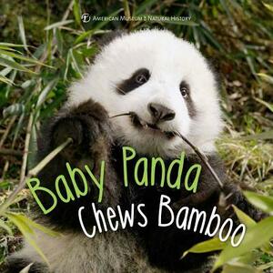 Baby Panda Chews Bamboo by Ben Richmond