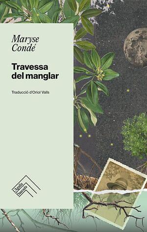 Travessa del manglar by Maryse Condé