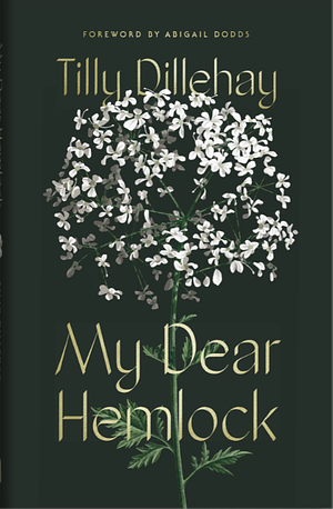 My Dear Hemlock  by Tilly Dillehay