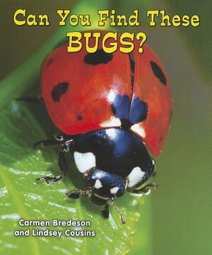 Can You Find These Bugs? by Carmen Bredeson, Lindsey Cousins