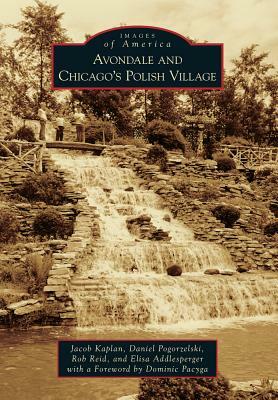 Avondale and Chicago's Polish Village by Daniel Pogorzelski, Rob Reid, Jacob Kaplan