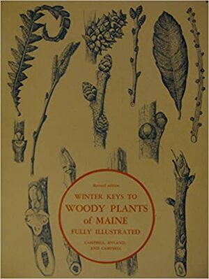 Winter Keys to Woody Plants of Maine by Fay Hyland, Christopher S. Campbell