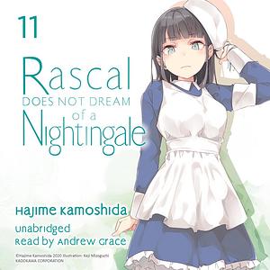 Rascal Does Not Dream of a Nightingale (Light Novel) by Hajime Kamoshida