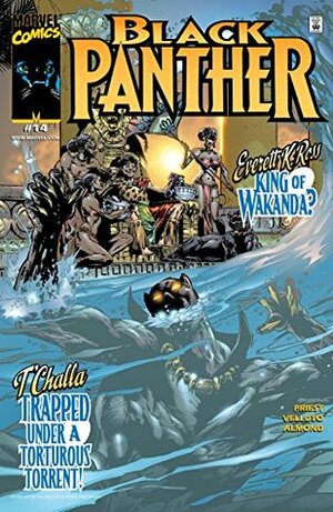 Black Panther #14 by Sal Velluto, Christopher J. Priest