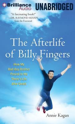The Afterlife of Billy Fingers: How My Bad-Boy Brother Proved to Me There's Life After Death by Annie Kagan