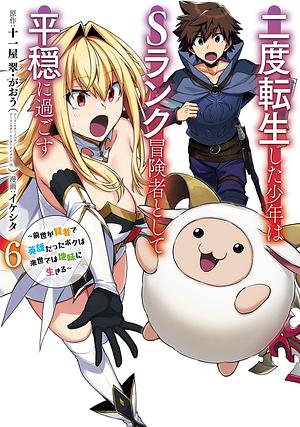 The Re-Reincarnated Boy Lives Peacefully as an S-Rank Adventurer: I, a Sage and Hero in My Previous Lives, Will Live a Simple Life in My Next (Manga) Volume 6 by Ikeshita, Juuichiya Sui